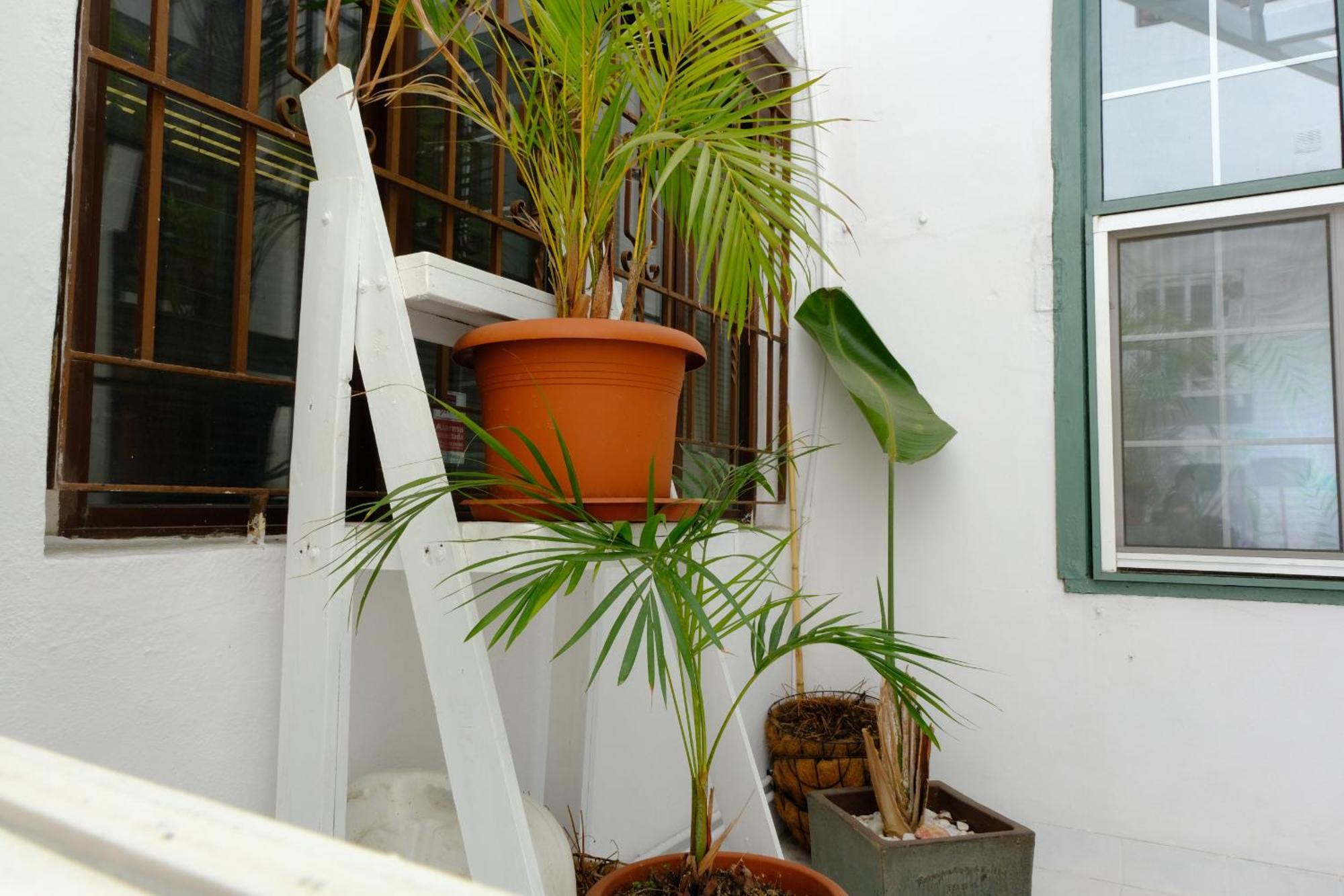 Rooftop Dreamhouse - 3Br With Seaviews Santa Cruz de la Palma  Kültér fotó